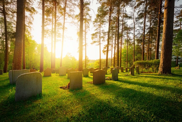Waldfriedhof bei Sonnenuntergang, Sonnenstrahlen durch hohe Bäume, viele Grabsteine im grünen Gras.