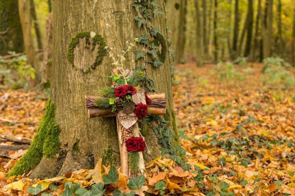 Waldbestattung in der Natur