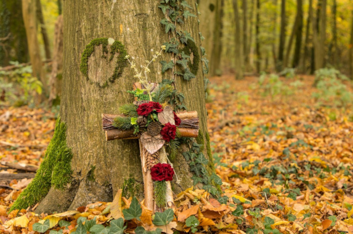 Waldbestattung in der Natur ist eine umweltfreundliche Bestattungsform.