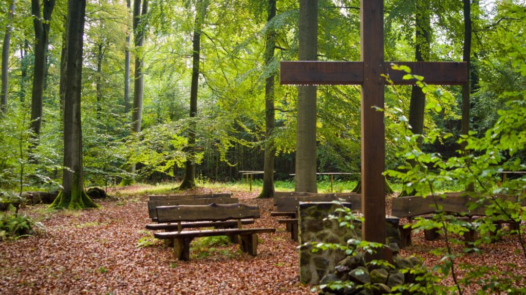 Ruheforst